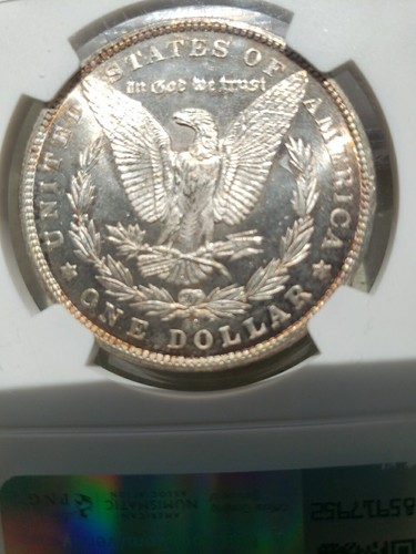 1882-CC S1$ SILVER MORGAN DOLLAR CHOICE NGC MS 63 Proof Like Toned. - Picture 3 of 4
