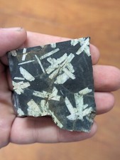 Chinese Writing Stone Porphyry Slab
