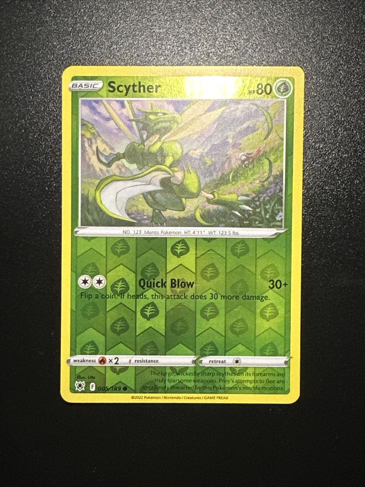 Picture 1 of 12