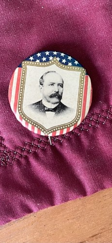 1904 Alton Parker Campaign Pin