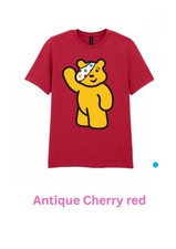 Pudsey Adult T Shirt S/M/L/XL/XXL In Various Colours