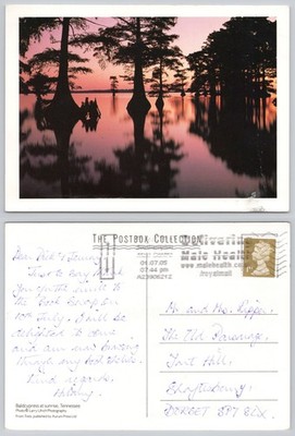 x03287 Glatze Zypressen Tennessee USA Postkarte 2005 Briefmarke