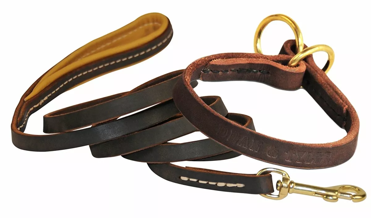 Dean and tyler dog collars cheap