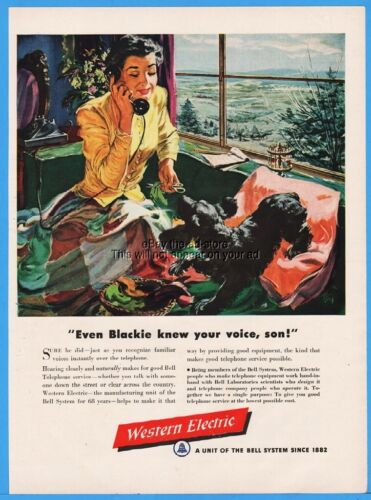 1950 Western elektrisches Telefon rotierendes Zifferblatt Scottish Terrier Scottie Hund Kunstwerbung - Bild 1 von 1