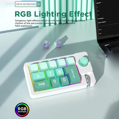 12 Key Custom Macro Programmable Fully Hot Swappable RGB Light Gaming Keyboard^