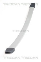 Triscan 8765 10003 Federnpaket Vorderachse FÜR Iveco