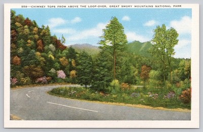 Chimney Tops Loop-Over Great Smoky Mountains National Park Postcard
