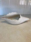 Vintage Van Briggle 12 in Pottery Off White Conch Shell Planter Colorado Spring