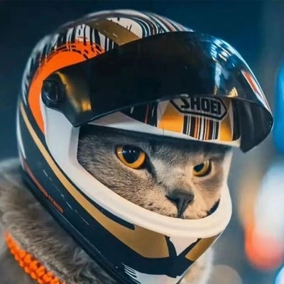 Haustierhelme Katzenhelm Hundehelm Zubehör Outdoor Mini Motorrad Helm Pet Helmet