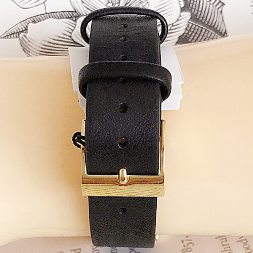 NWT Skagen Women's Anita Stainless Steel and Leather Casual