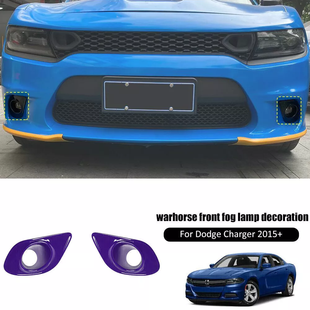 Dodge charger online fog light cover