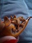 Bild 6 von 10