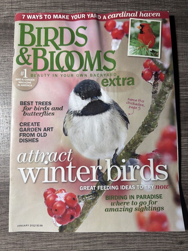 Birds & Blooms Magazine January 2012 - attract winter birds