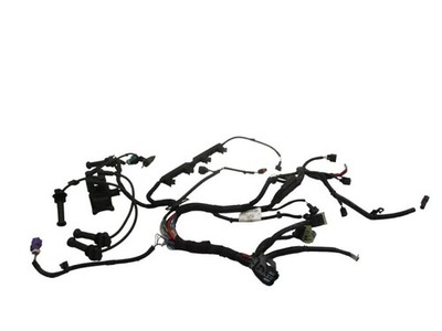 Kabel Motor Motorkabelbaum Zündspule C12HDEZ passt für FORD FIESTA VI 1.25