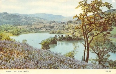 England Rydal Water Bluebell Time vintage postcard C308