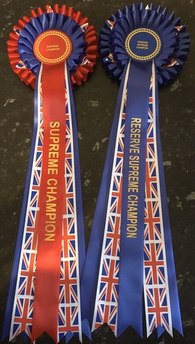 Champion & Reserve Champion Rosettes With Union Jack Ribbon & 5, 18inch Tails - 第 1/3 張圖片