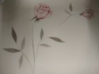 Picture 2 of 5