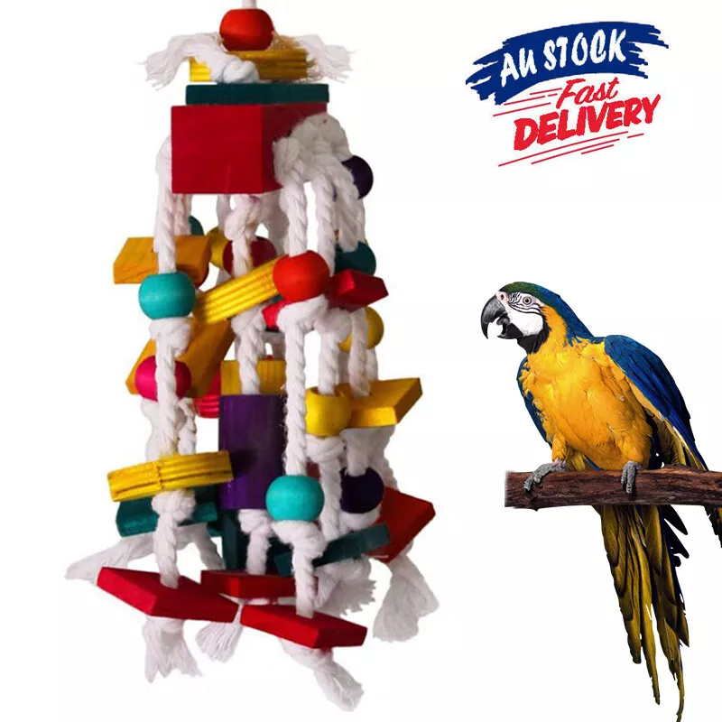 Cheap sales macaw toys