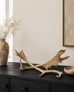 Large Fallow Deer Antlers 62cm Natural Rustic Cabin Lodge Country Decor