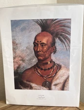 VTG Black Hawk Charles Bird King Print Warner Collection Of Gulf States 1984