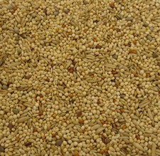 20kg Budgie Food Budgie Supreme - Mix of Millet,Groats,Hemp,Canary Seed, Linseed