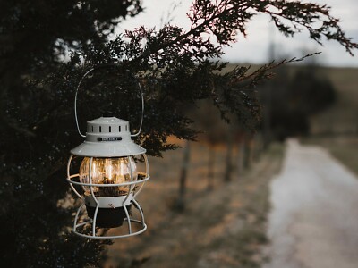 Barebones Living Railroad Lantern LED Edison-Style Bulb White