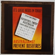 PREVENT BUSHFIRES Movie Theatre GLASS LANTERN SLIDE Advertising 1950s