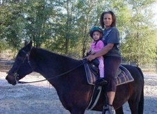 Showman Western Or English Leather Nose Fleece Lined BITLESS Hackamore Bit