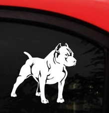 Pitbull White Vinyl Graphic Decal Car Window Laptop Notebook