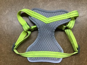 ebay small dog harness