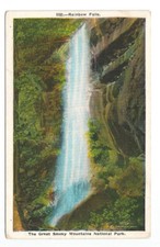 Gatlinburg Aerial Views - Elevating Your Gatlinburg Experience 21 Tennessee TN Postcard Rainbow Falls Smoky Mountains c1920s