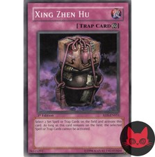 Yugioh Xing Zhen Hu RDS-EN051 Common 1st Edition LP