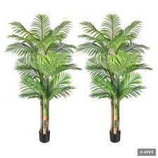 Tropical Golden Cane Palm Tree - 6 Feet