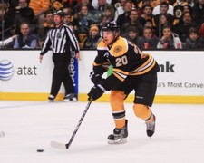 Color 8x10 photo of Boston Bruins forward Daniel  Paille.  #1 (Vol. 3)