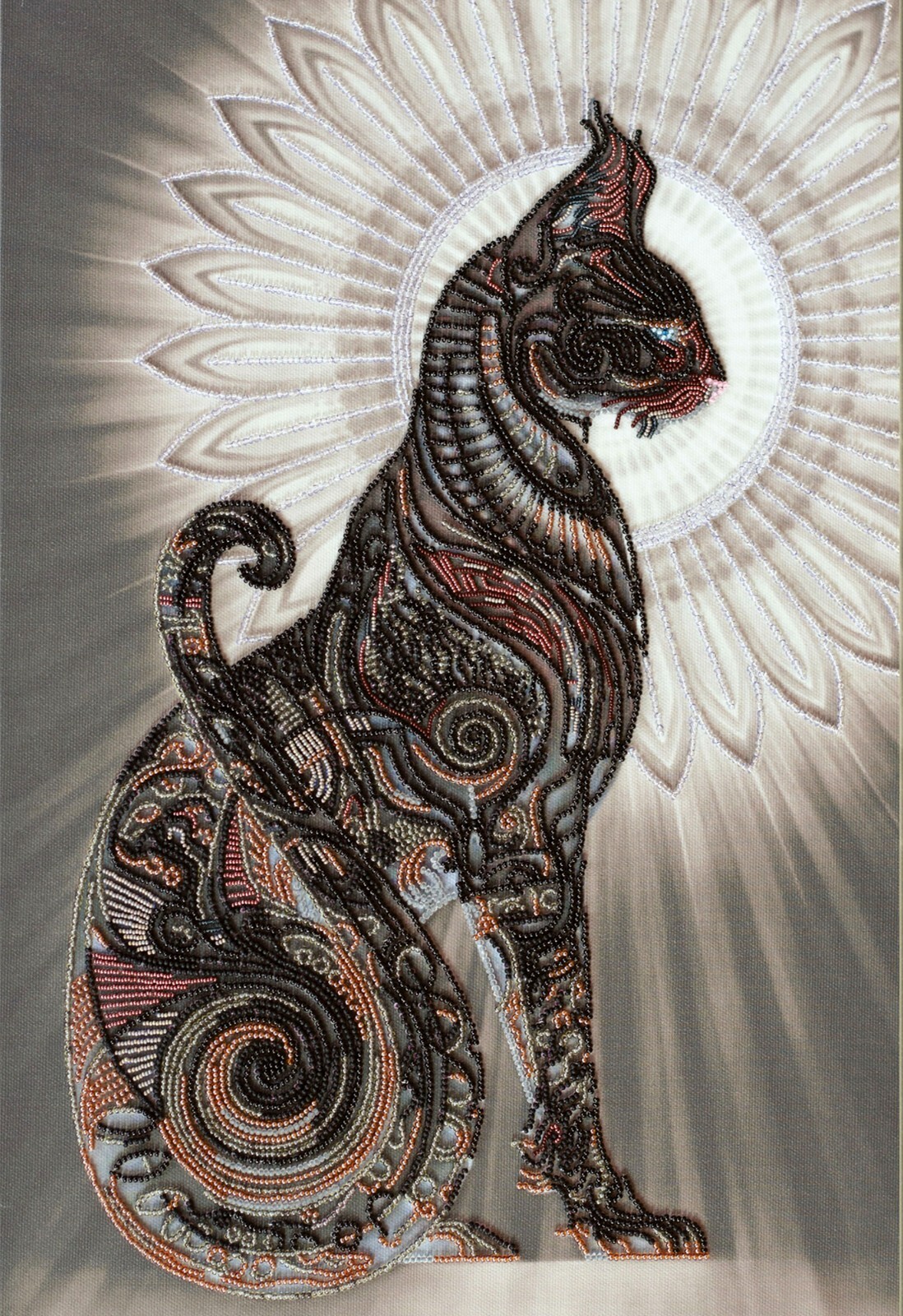 Foto 1 di 13