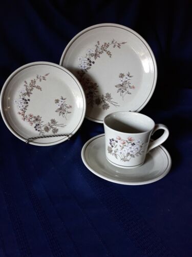 Royal Doulton, BREDEN HILL,  Salad, Bread & Butter Plate and Cup & Saucer - Picture 1 of 3