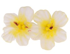 Edle Tiki HIBISKUS Blüten Flower Ohrstecker ...
