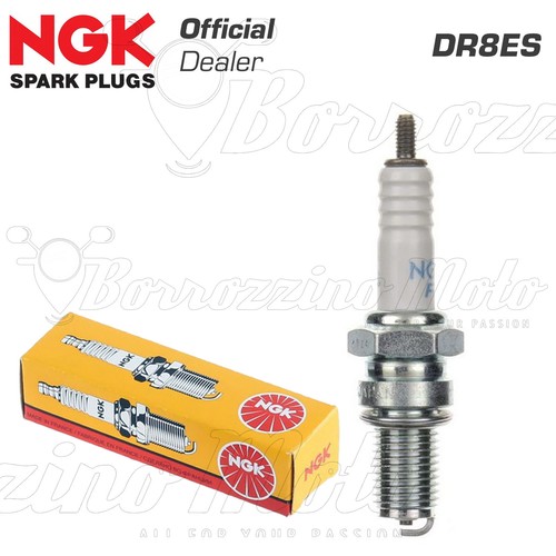Wartungspaket Öl 5L Honda CBX 1000 / Pro Link CB1 Online Kaufen B, 58,95