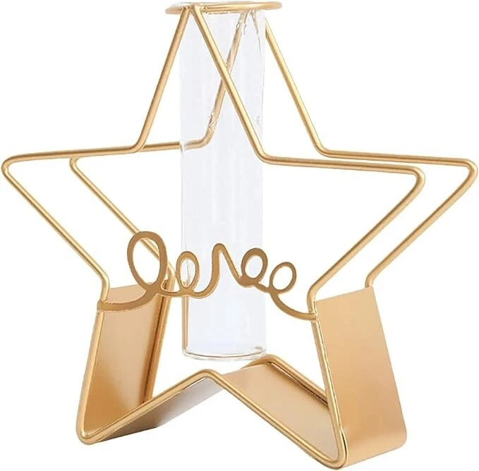 Glass Metal Frame Stand Flower Vase for Office Home Decoration and Environment (