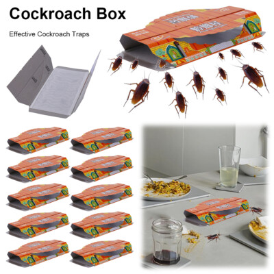 10er Pack Köderklebefallen Rotaugenvernichter Klebeklebefallen für Kakerlaken Insekten