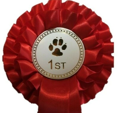 Individuelle Platzierung Hundeshow 2-stufige Rosetten in Qualitätssatin