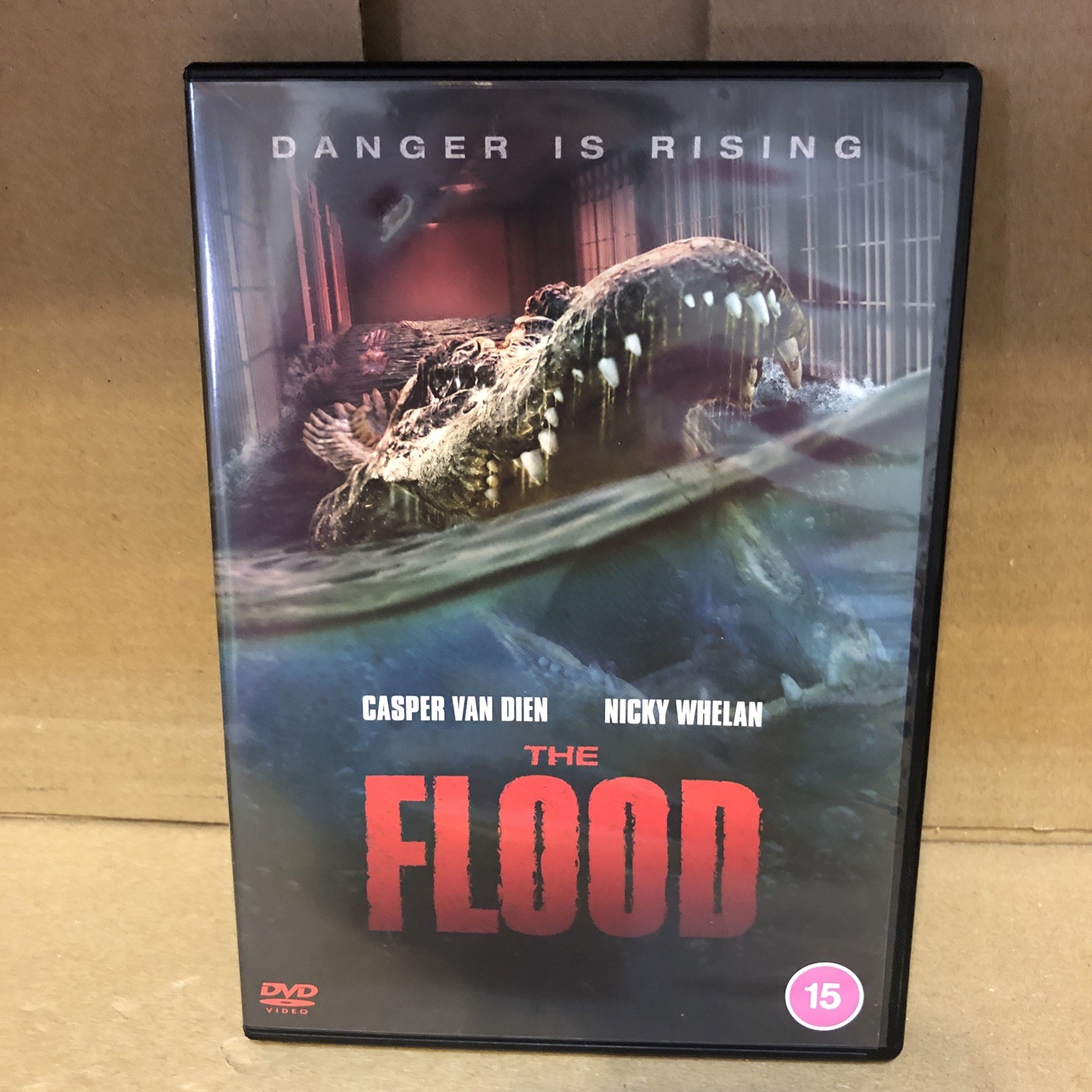 Flood [DVD]