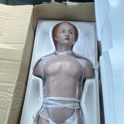 #ad Dapper Dan Torso Anatomy Model 14 Parts $150.00