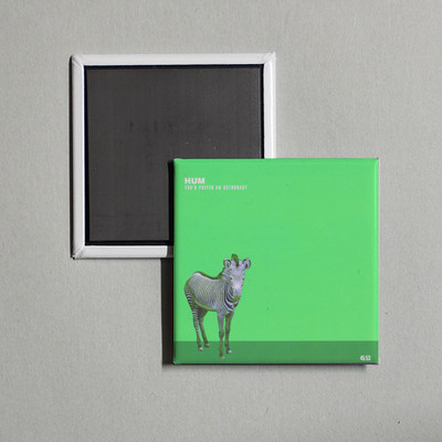 Hum - You'd Prefer An Astronaut Album Cover Locker Fridge Magnet