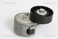 Triscan Spannrolle, Keilrippenriemen U.A. FüR CitroËN, Fiat, Ford, Lancia