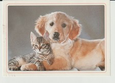 pc563 / puppy & kitten