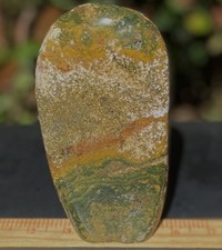 Ocean Jasper Magnificent Polished Self Standing Colorful Gem 694 KG or 1.53 Lbs