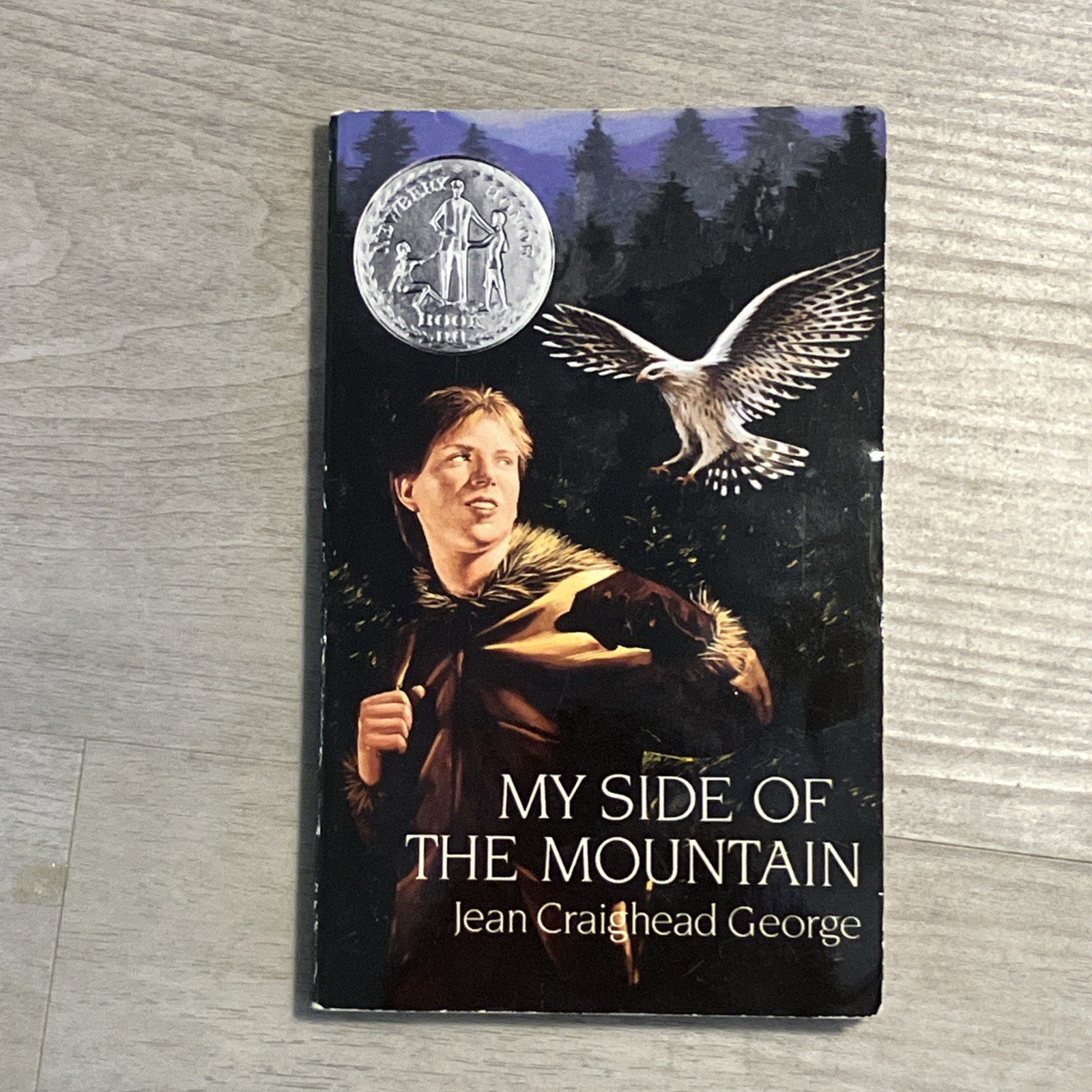My Side Of The Mountain By Jean Craighead George – Scholastic Paperback Edition