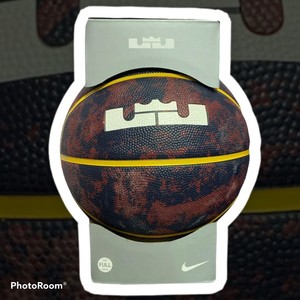 lebron james playground basketball