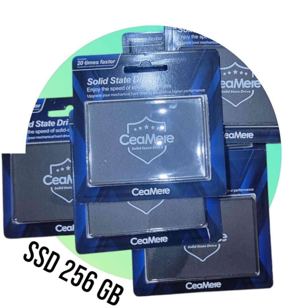 Ssd SATA III 256GB, Internal, 2.5 inch (LNS100-256RBNA) Solid State Drive-image